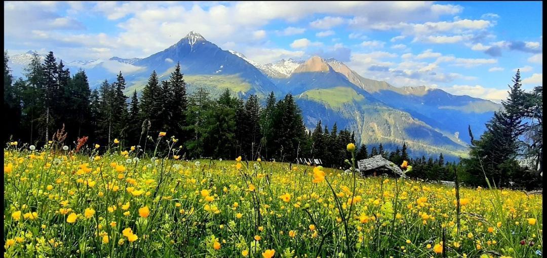 Haus Wibmer Matrei in Osttirol Exterior foto